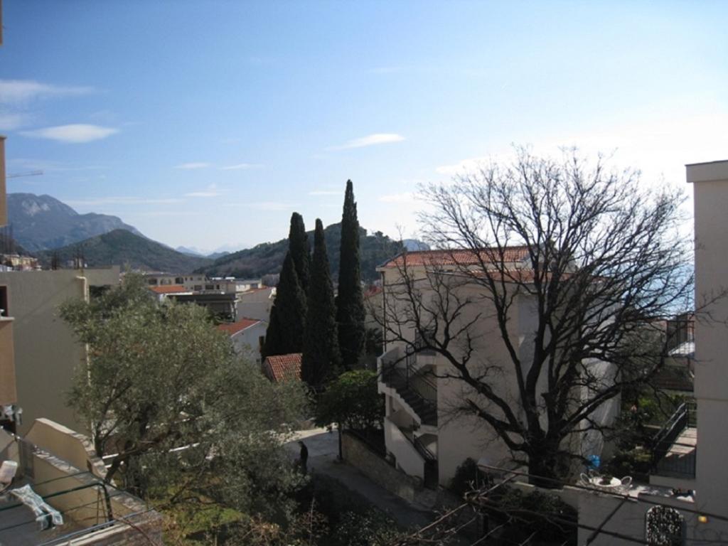Apartment Stana Petrovac Dış mekan fotoğraf